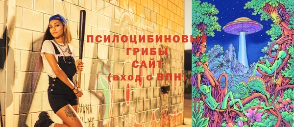бошки Алексеевка