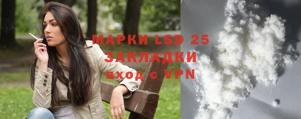 прущие грибы Алзамай