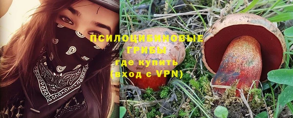 не бодяженный Алексин