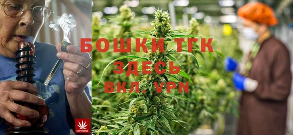 прущие грибы Алзамай