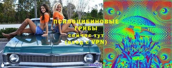бошки Алексеевка