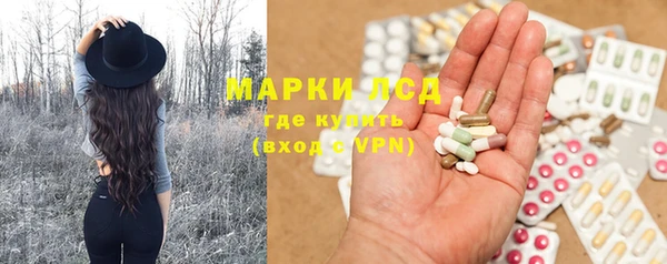 прущие грибы Алзамай