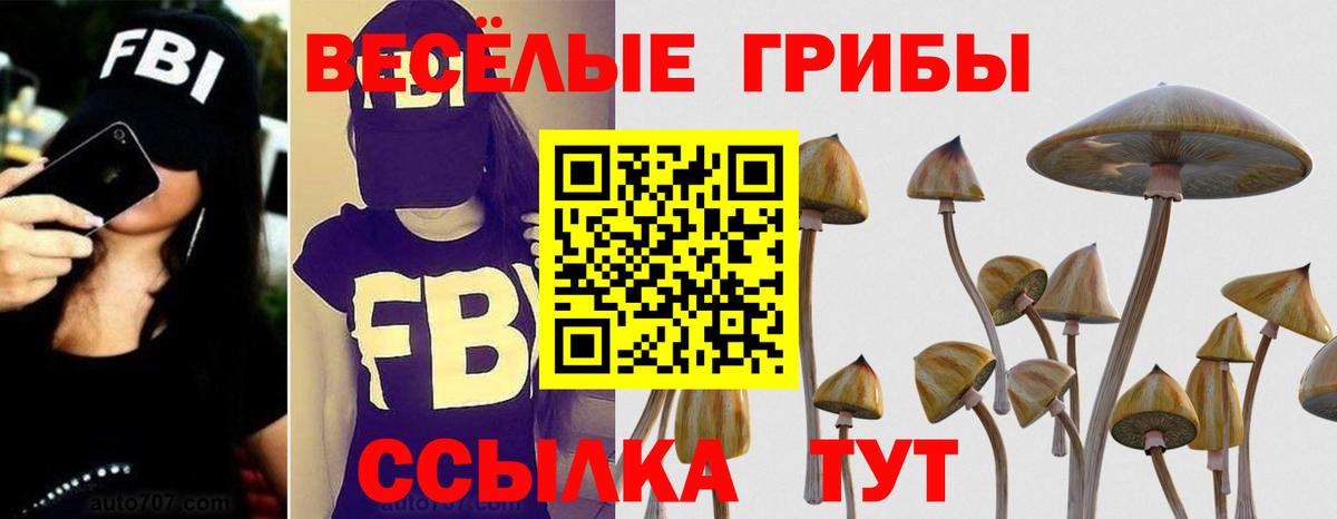 Псилоцибиновые грибы MAGIC MUSHROOMS Ступино